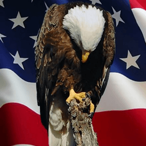 Memorial Day